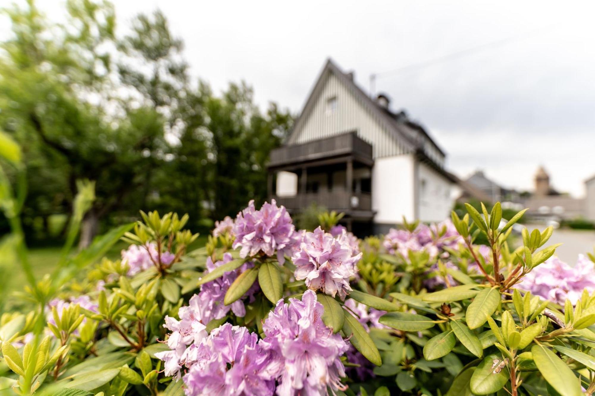 Ferienwohnung Haus An Der Lenne Lennestadt Eksteriør billede